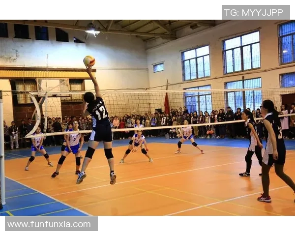 武汉排球队的转型之路:从传统到现代的全面革新探索 武汉排球队的转型之路:从传统到现代的全面革新探索