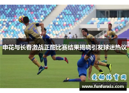 申花与长春激战正酣比赛结果揭晓引发球迷热议